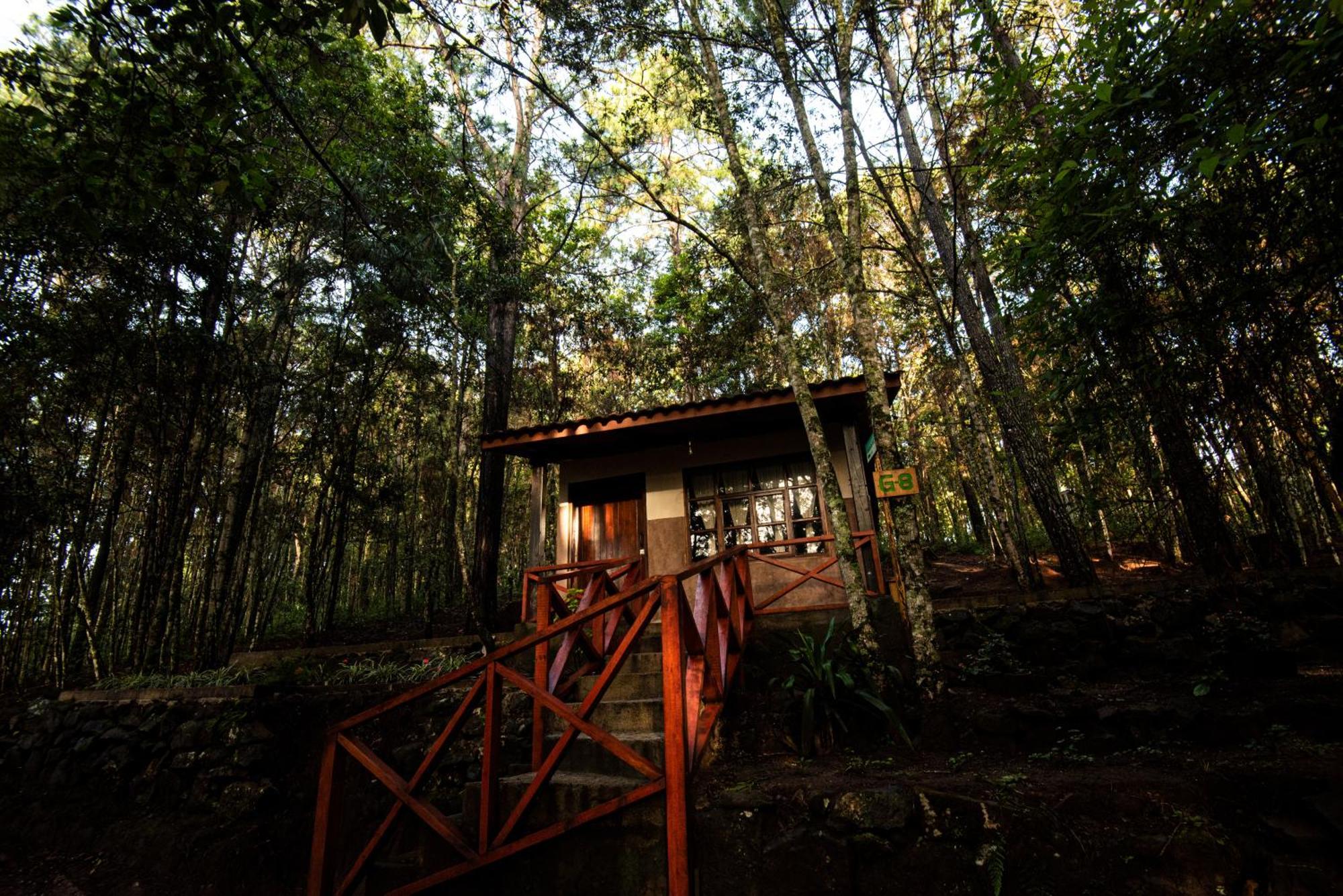 Cotan Ecolodge La Esperanza Dış mekan fotoğraf