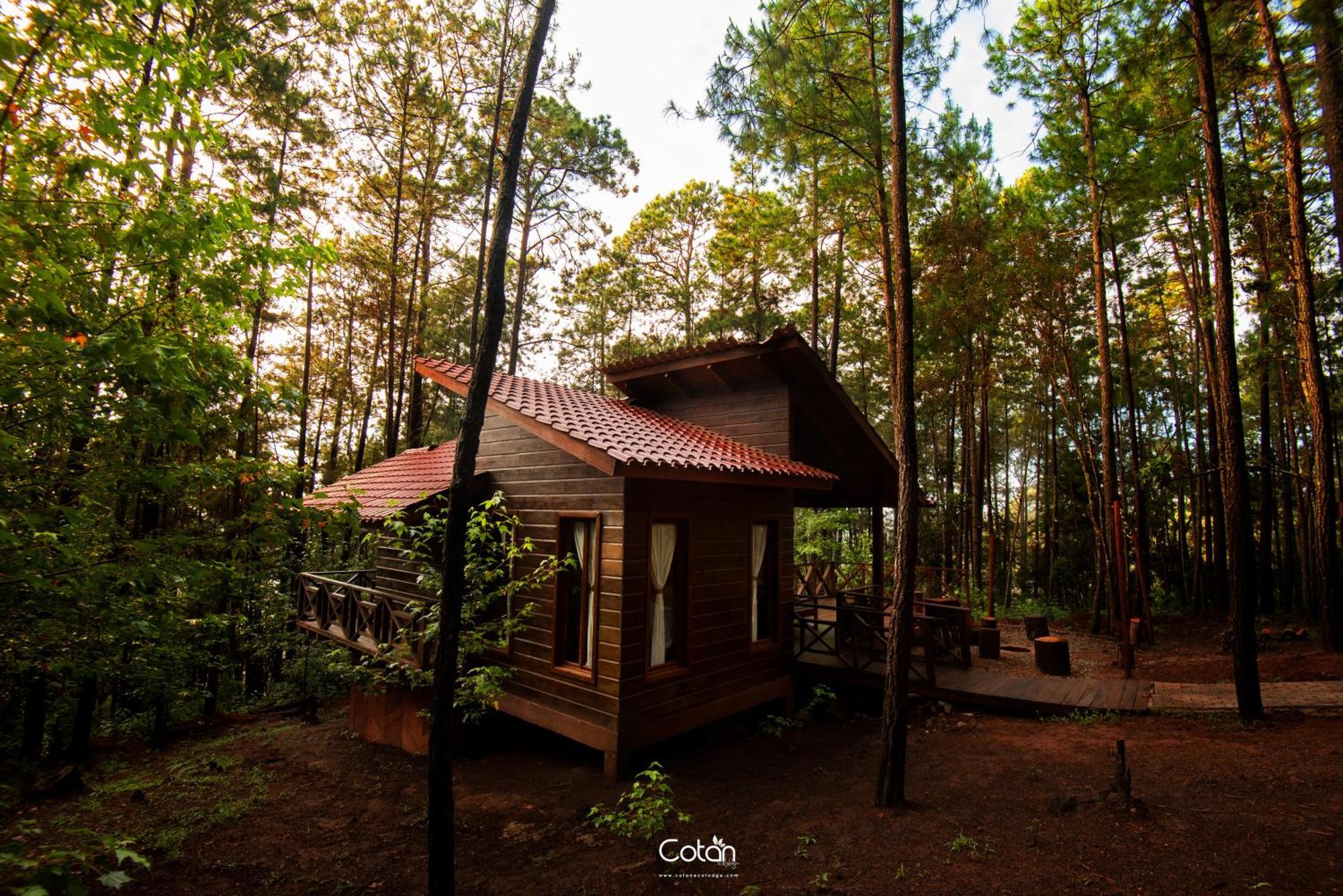 Cotan Ecolodge La Esperanza Dış mekan fotoğraf